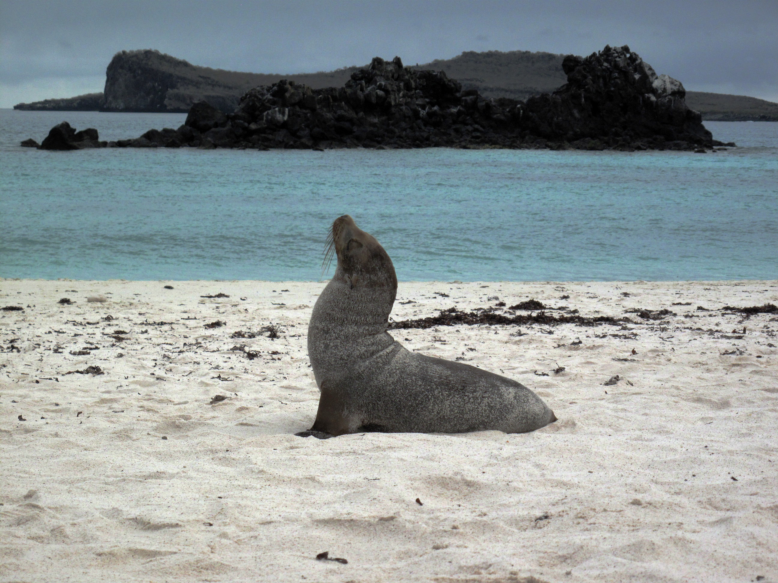 Galapagos (photo: croisiere-voyage.ca 