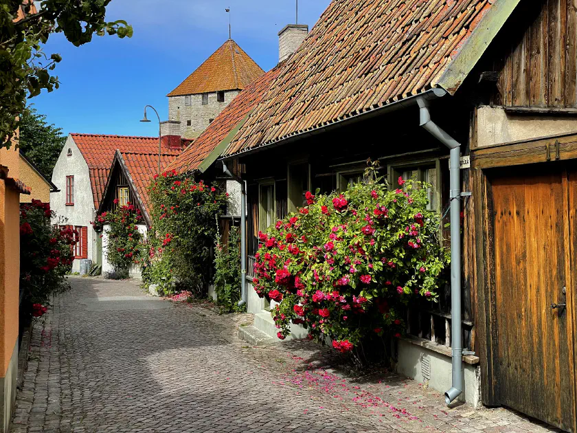 Visby Cruise Port | Location, Things to do, Excursions